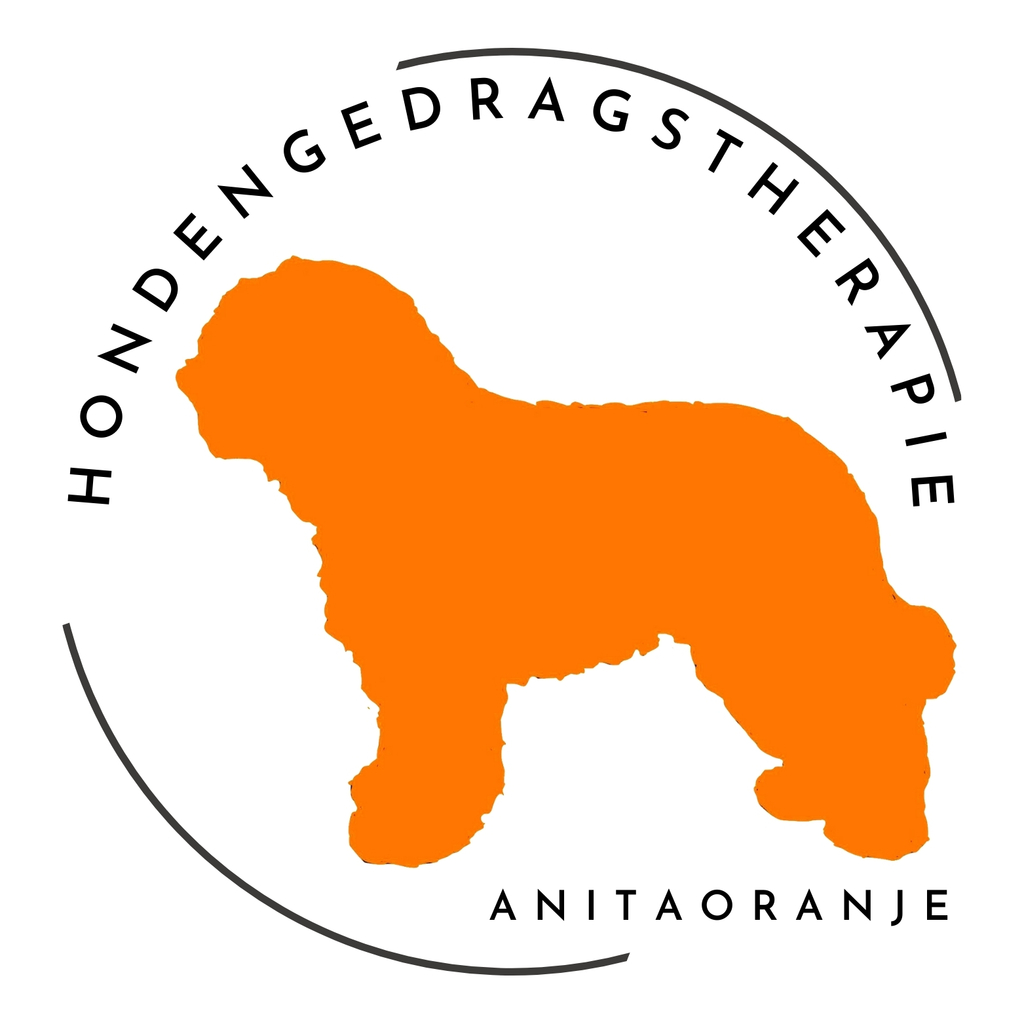 anitaoranje.nl